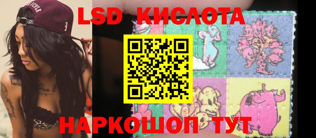 Наркотические марки  Наркотические марки 1,5мг  Вход с VPN  наркошоп  Славянск-на-Кубани  Наркотические марки 1,5мг 