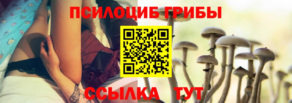 Славянск-на-Кубани  Галлюциногенные грибы Psilocybine cubensis  Псилоцибиновые грибы MAGIC MUSHROOMS  Вход с VPN 